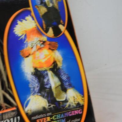 Multicolored Fiber Optic 48" Scarecrow - New, never used.