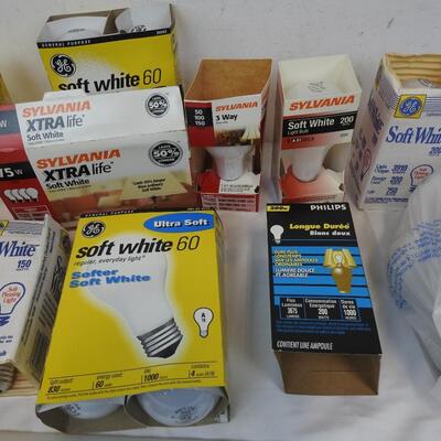 30+ Lightbulbs, Various Sizes & Wattage