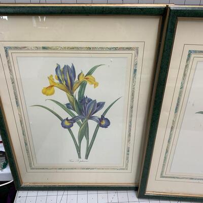 #124 Framed Flower Prints