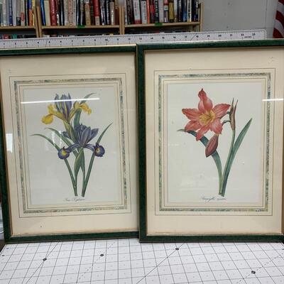 #124 Framed Flower Prints