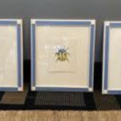 Art: 3 Framed Beetles