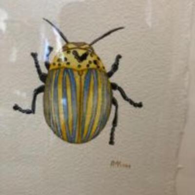 Art: 3 Framed Beetles