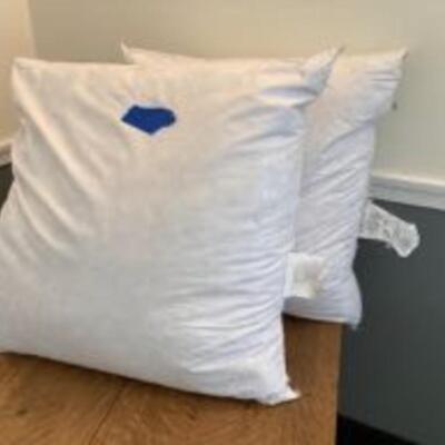 Set of 2 Large Pillows