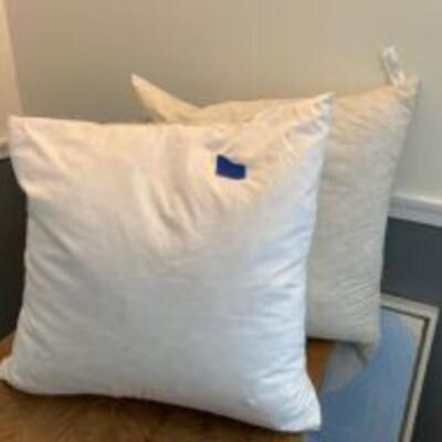 Set of 2 Large Pillows