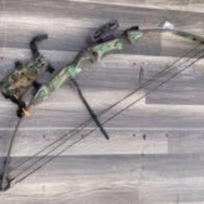 Hoyt Raider 42" box