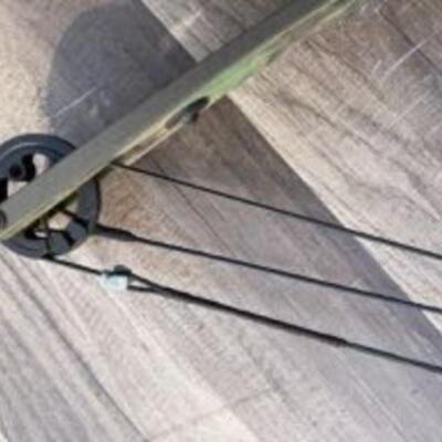 Hoyt Raider 42" box