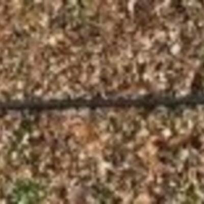 Field & Stream Force Adjustable Kayak Paddle