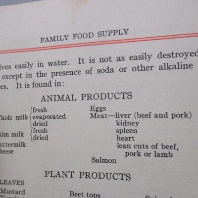 Vintage Booklets - Picnic Time Recipe & The Family Food Supply