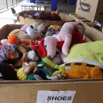 1 Pallet  lot of Soft toys over 50 Assorted Teddy Bears and Plush  Animals