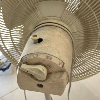 Lot 161  Lasko Oscillating Fan