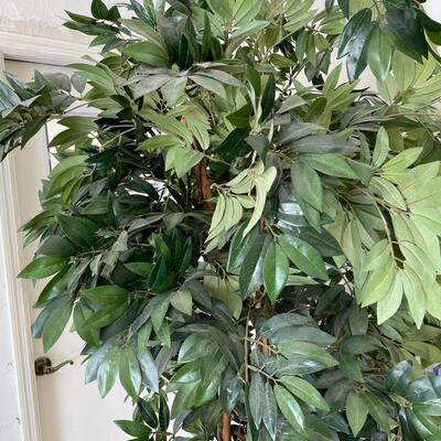 Lot 162  Silk Ficus in Clay Pot