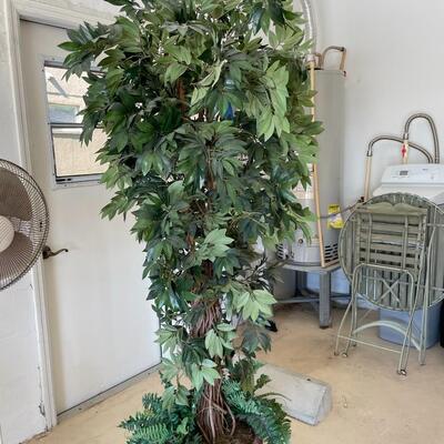 Lot 162  Silk Ficus in Clay Pot