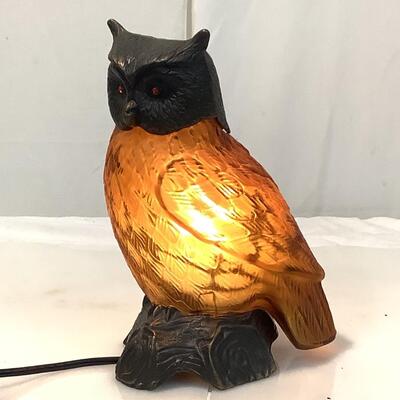 B883 Glass and Metal Owl Lamp by Tin Chi