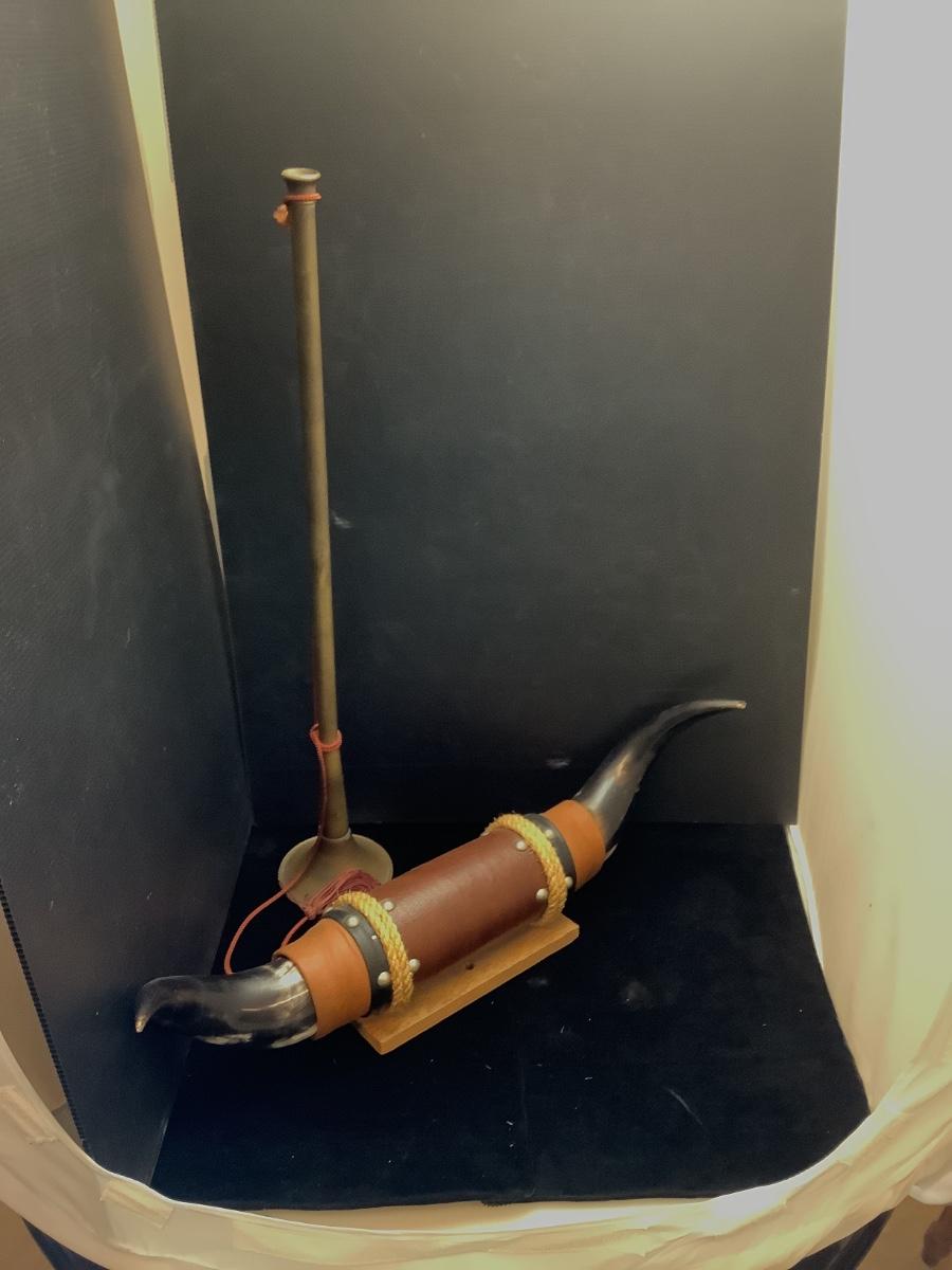 F980 Brass Horn with Bull Horn Wall Art