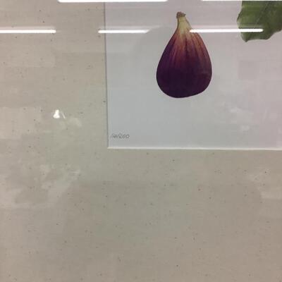 A154  Signed and Numbered Litho of Fig by Ann Swan