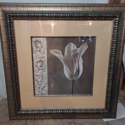 #30 Tulip print in gold frame