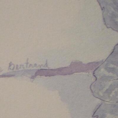 #32 Bertand Picture of birds and floral