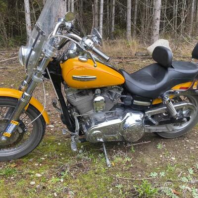 Custom Harley Davidson Motorcycle
