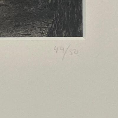 Paul Kozal Signed/Numbered â€œCypress Trailsâ€ Framed Photograph (FO-RG)