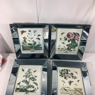 A175 Set of Four Life Stages of Butterfly Prints framed in Mirror frames