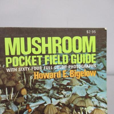 Rocks Minerals Fossils & Mushroom Books
