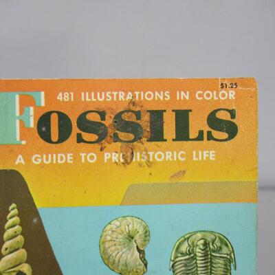 Rocks Minerals Fossils & Mushroom Books
