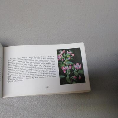 Tree Guide - Secret Life Of Flowers - Bird Guide - Books