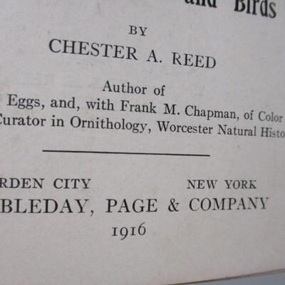 Tree Guide - Secret Life Of Flowers - Bird Guide - Books