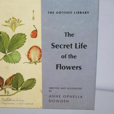 Tree Guide - Secret Life Of Flowers - Bird Guide - Books