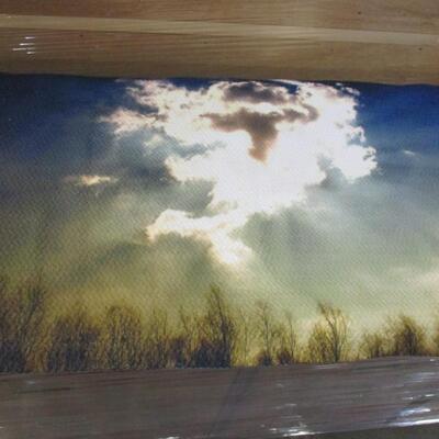 Scenic Floor Coverings