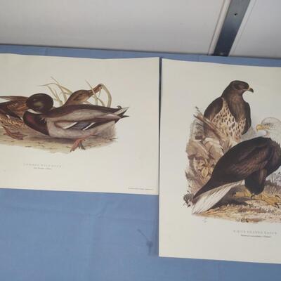 Artwork & Lithographs