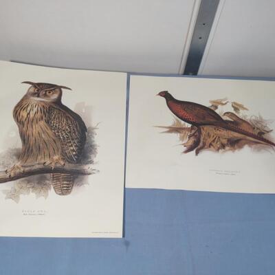 Artwork & Lithographs