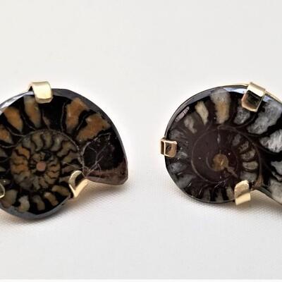 Lot #93  Cool Pair of Polished Ammonite Fossil Earrings set in 14kt gold