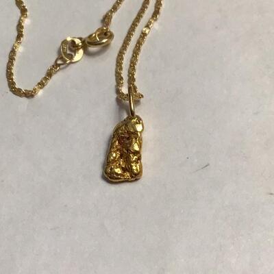 Gold Nugget on 14KT Gold Chain