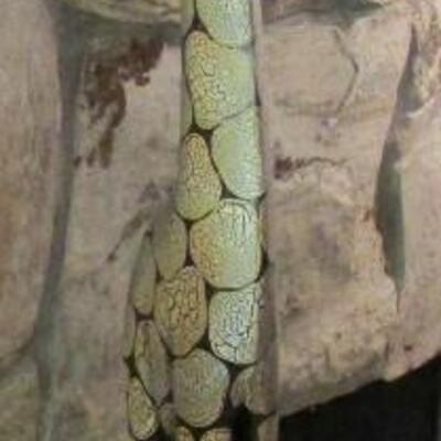 #1 Wooden Giraffe 