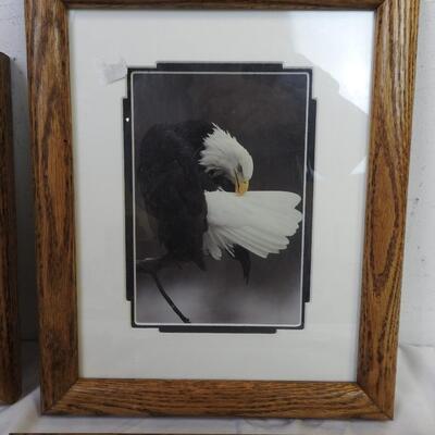 4 Frames, Animals, 11(1/2)" x 9(1/2)"