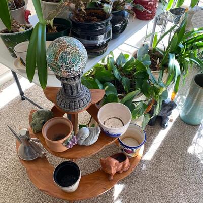 Assortment of Plants