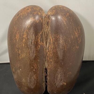 Vintage Authentic Coco de Mer Seychelles Seed Old Sea Nut Whole Carved