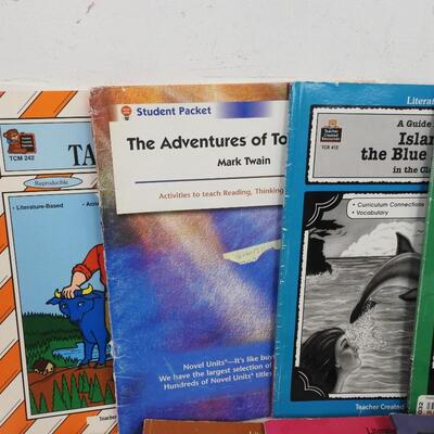 16 Books, Teacher Materials, Literature Unit Guides