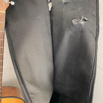 Fender Acoustic Guitar and Carrying Case
