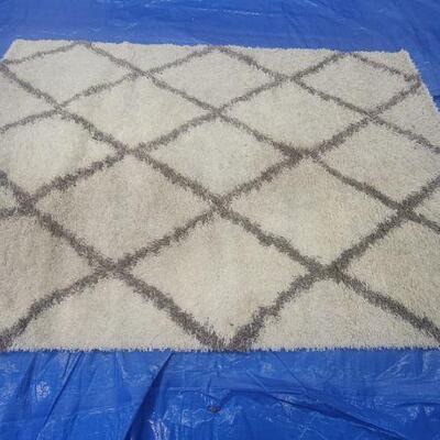 Rug 10
5 x 8 Moroccan (traffic dirt will wash out with cleaning ) priced accordingly $50