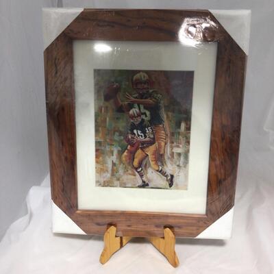 (21) PACKERS| Signed Bart Starr framed Lithograph
