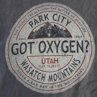 5 T-Shirts, Batman, Park City, Nasa, USU, Medium and Large