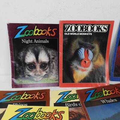 16 Zoobooks, Kids Magazines