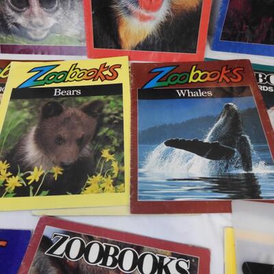 16 Zoobooks, Kids Magazines