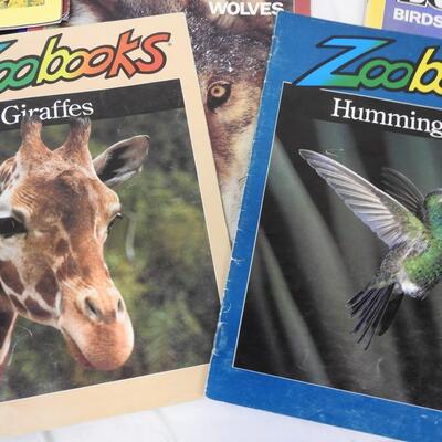 16 Zoobooks, Kids Magazines