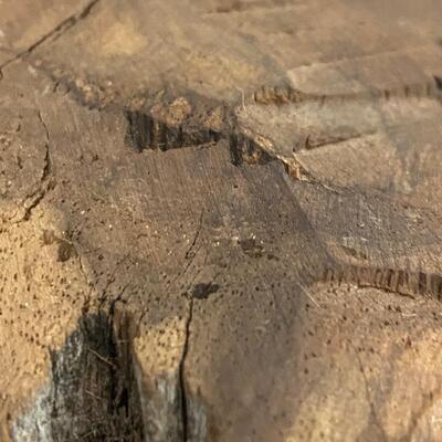 African Handcarved Heavy Carved Bust