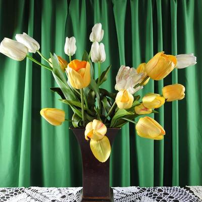 Tulips
