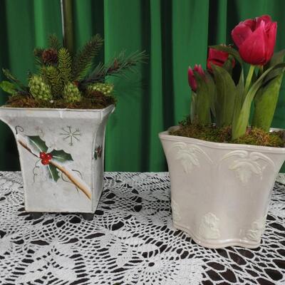 Amaryllis