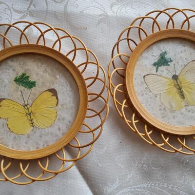 Set of 5 Butterfly coasters